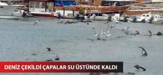 Deniz çekildi çapalar su üstünde kaldı