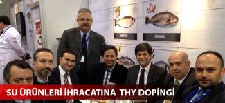 Su ürünleri ihracatına  THY dopingi
