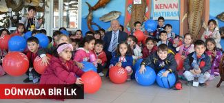 Balık sevdası Deniz Canlıları Müzesi’nde hayat buldu