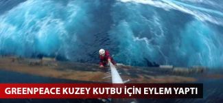 Greenpeace Kuzey Kutbu için Shell’in petrol platformuna tırmanıyor