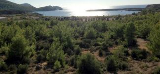 Nükleer santralde ilk temel yarın atılıyor