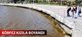 İzmit Körfezi'i kirlilik nedeniyle kızıla boyandı