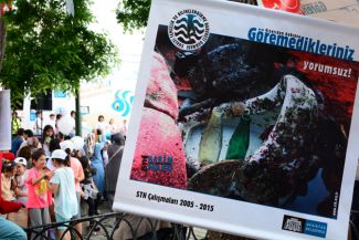 Konuşan Balık Deniz ve Çocuk Şenliği yapıldı