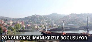 Ukrayna ve Kırım'daki kriz Zonguldak Limanı'nı vurdu