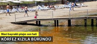 Mavi bayraklı plajda kırmızı alarm