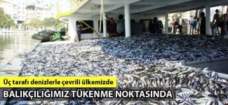 Denizlerimizde balıkçılık azalıyor