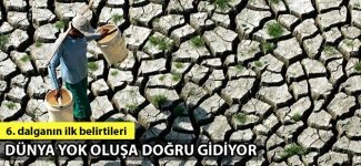 Yeni bir yok oluş dalgası başladı