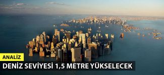 Deniz seviyesi tüm yerkürede 1,5 metre yükselecek