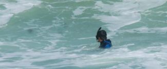 Şile'de bir ceset daha bulundu