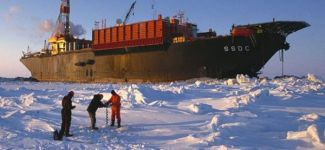 Shell, Kuzey Kutbu'nda petrol aramayı durdurdu