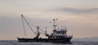 Kaçaklar yönünü gezi ve trol teknelerine çevirdi