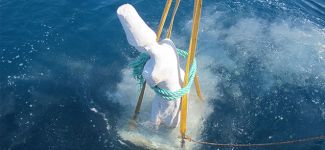 Antalya İzmir'e ilham verdi