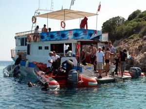 Denizlerin "isimsiz kahraman"ları göz dolduruyor