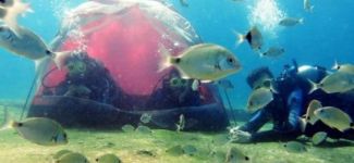 Deniz dibinde kamp kurdular