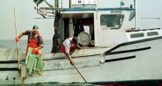 Trolcüler kıtalararası iletişimi kesti