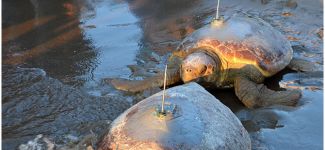 Sevgi ve Özlem Akdeniz'de bin km yol katetti