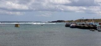 Solution to King Island's shipping problems expected soon