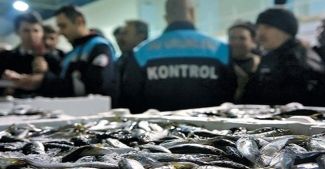 Marmara'da kaçak balıkçılık problemi: Kimse önüne geçemiyor