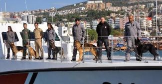 Dedektör köpekler Kuşadası Limanı'nda deniz eğitimi alıyor