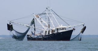 IMO'dan üye ülkelere "güvenlik" çağrısı