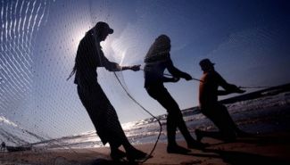 Gazze'de balıkçılık İsrail'in ağlarına takılıyor