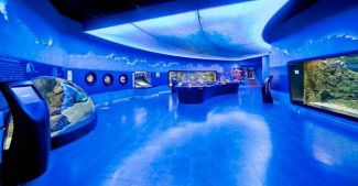 İstanbul Akvaryum resmen kaçak!