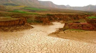 'Türkiye 1.3 milyon hektar sulak alanı kaybetti'