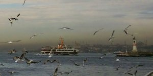 Marmara Denizi korumaya alınmalı, yoksa...