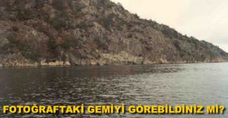 Denizlerin efendilerinin şaşırtan kamuflajları