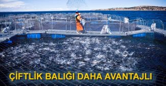 Kötü sezon tüketicileri çiftliklere yöneltti