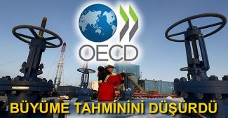 OECD, 2016 için küresel büyüme tahminini düşürdü