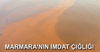 Tekirdağ'da deniz girilemeyecek kadar kirlendi