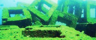 Kuşadası'nda denize 100 yapay resif bırakıldı