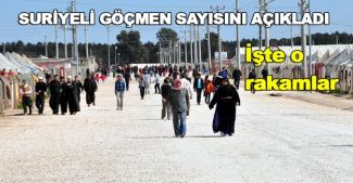 Türkiye'deki Suriyeli göçmen sayısı açıklandı