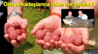 Ölen arkadaşlarının küllerini balık yemine kattılar