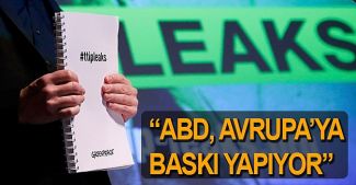 Greenpeace ABD’yi AB’ye baskı yapmakla suçladı