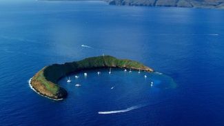 'Hawaii 50 yıl içerisinde tsunami sebebiyle yok olacak'