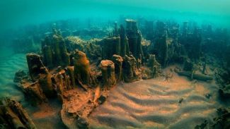 Van Gölü'nde mikrobiyolit alan