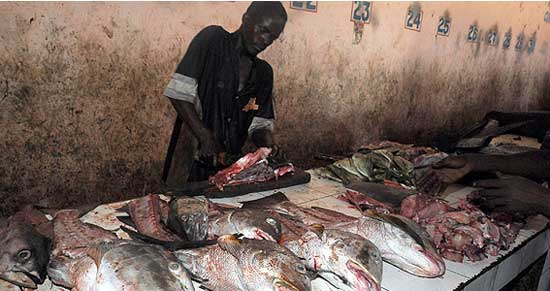 1.20111011100011.jpg 1.20111011100011.jpg