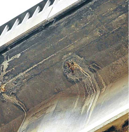 1.20111018123808.jpg 1.20111018123808.jpg