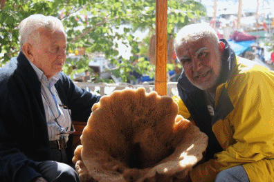 123456.gif 123456.gif