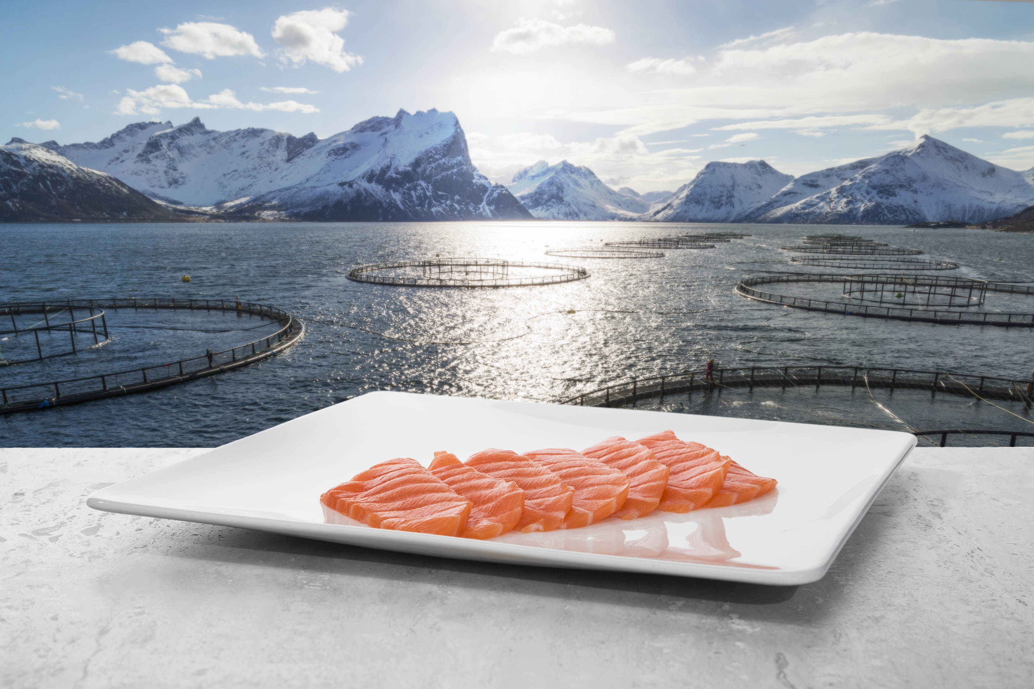 1527499009_salmon_from_norway___norwegian_seafood_council__ole_musken.jpg