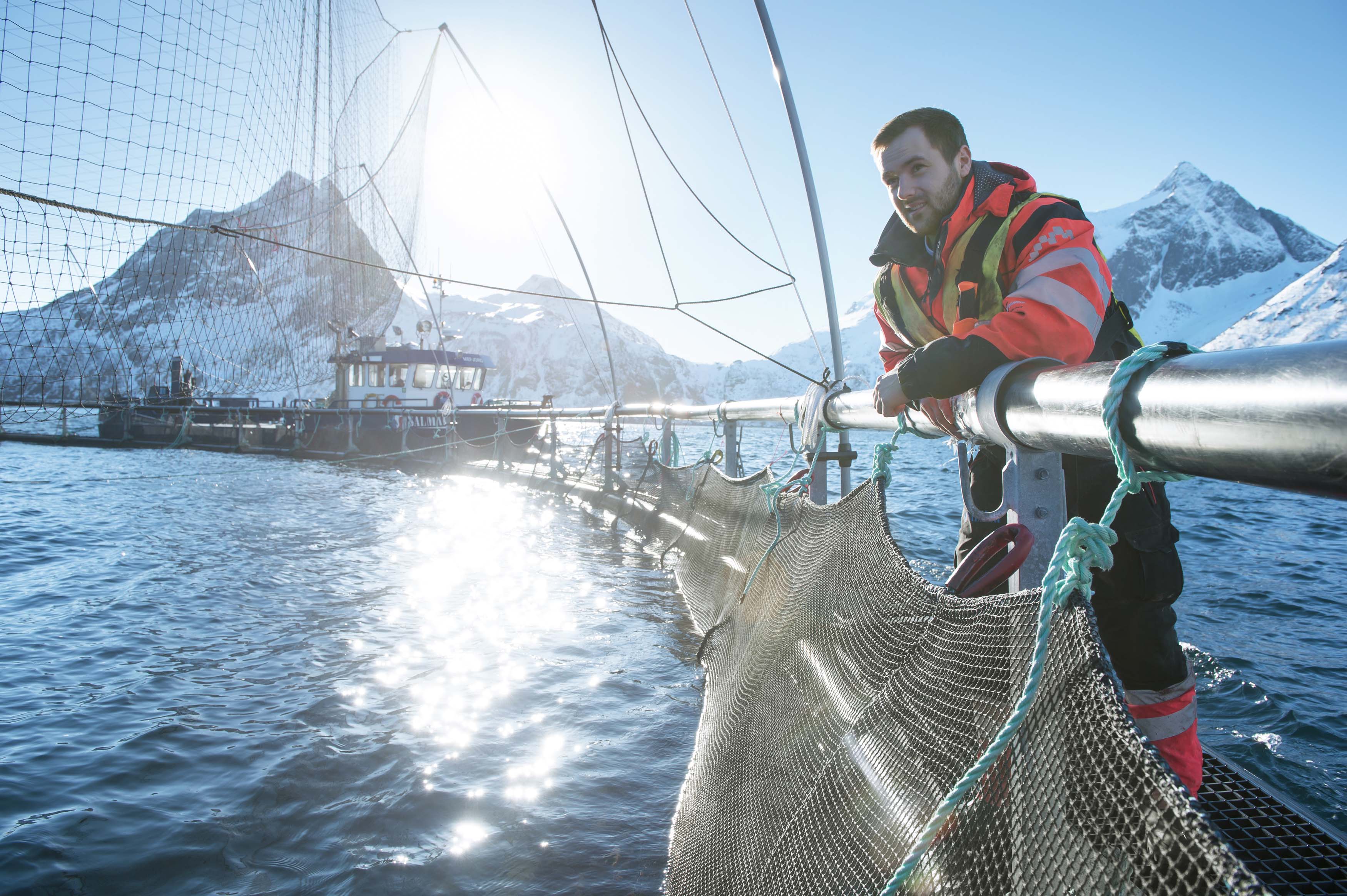 1527499013_norwegian_aquaculture___norwegian_seafood_council__johan_wildhagen.jpg