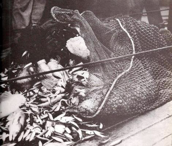 2.20110301090940.jpg 2.20110301090940.jpg