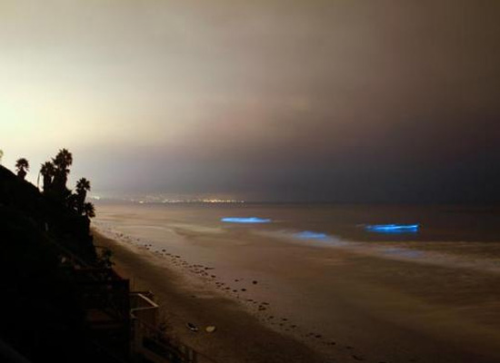 2.20120322104158.jpg 2.20120322104158.jpg