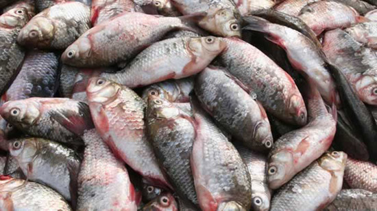 270520131613530896612.jpg 270520131613530896612.jpg