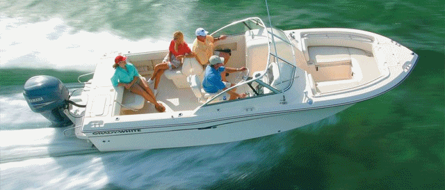 anigif.gif anigif.gif