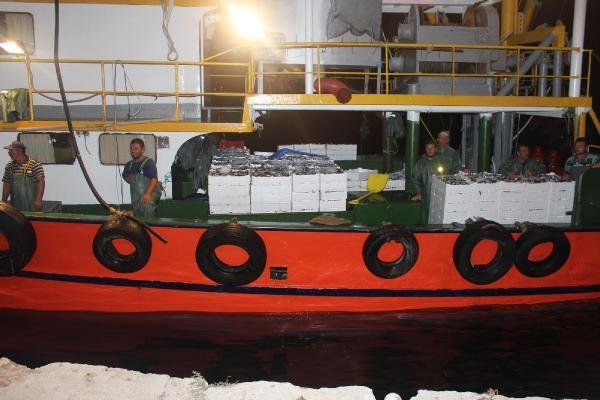 balik4.jpg balik4.jpg