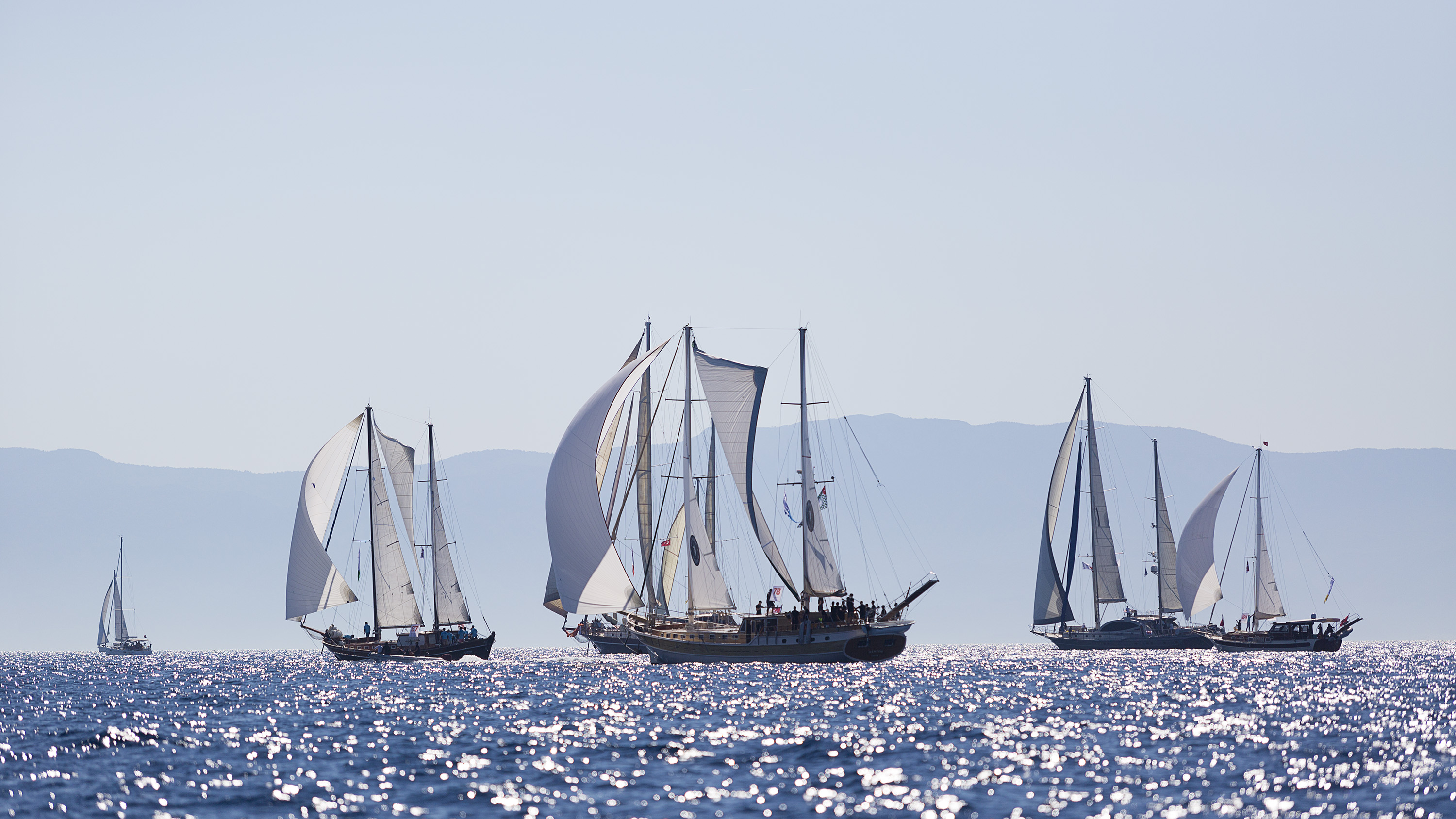 bodrum_cup_3.jpg