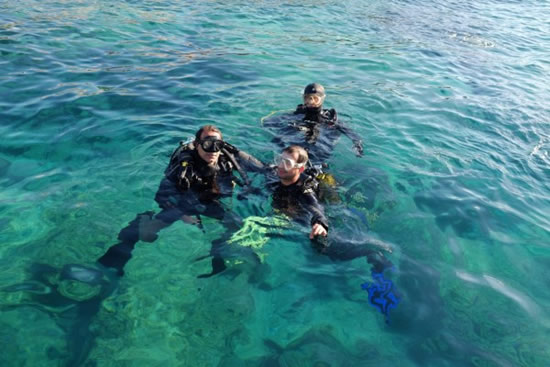 dalmakozgurluktur-6.jpg dalmakozgurluktur-6.jpg